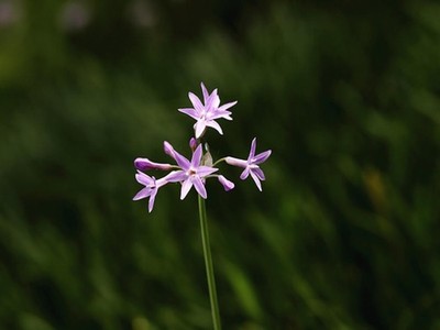 t校校花复仇记第三部