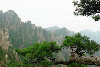 奉鞭请罚跪侍立规矩父子