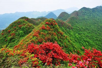 故意吃泻药体验拉裤子的感觉