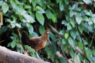 高校00后学生开宾馆